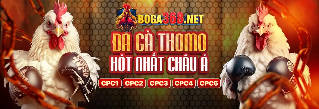 Đá Gà Trực Tuyến 789ber Kịch Tính